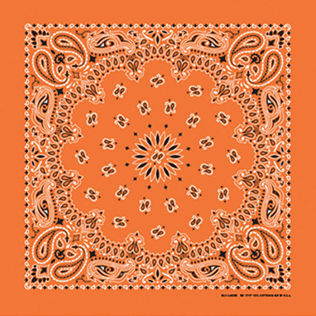 Bandana Paisley Orange