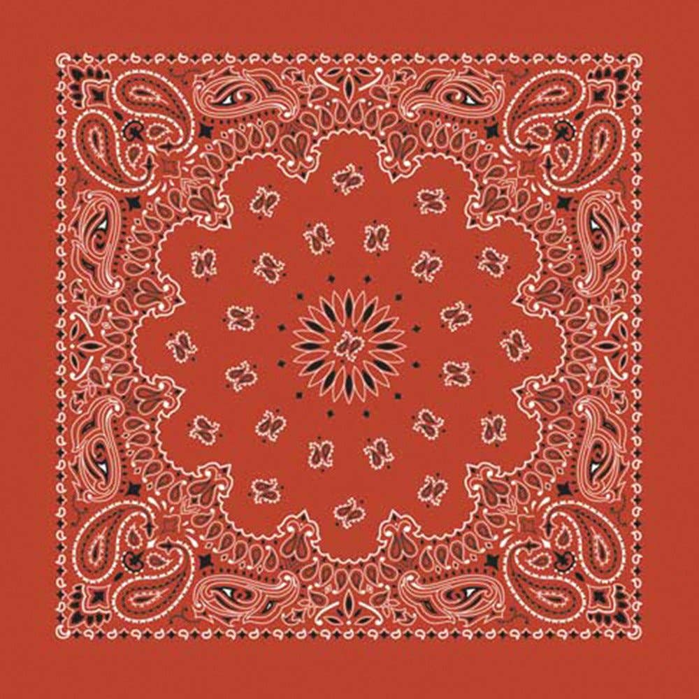 Bandana Paisley Terracotta