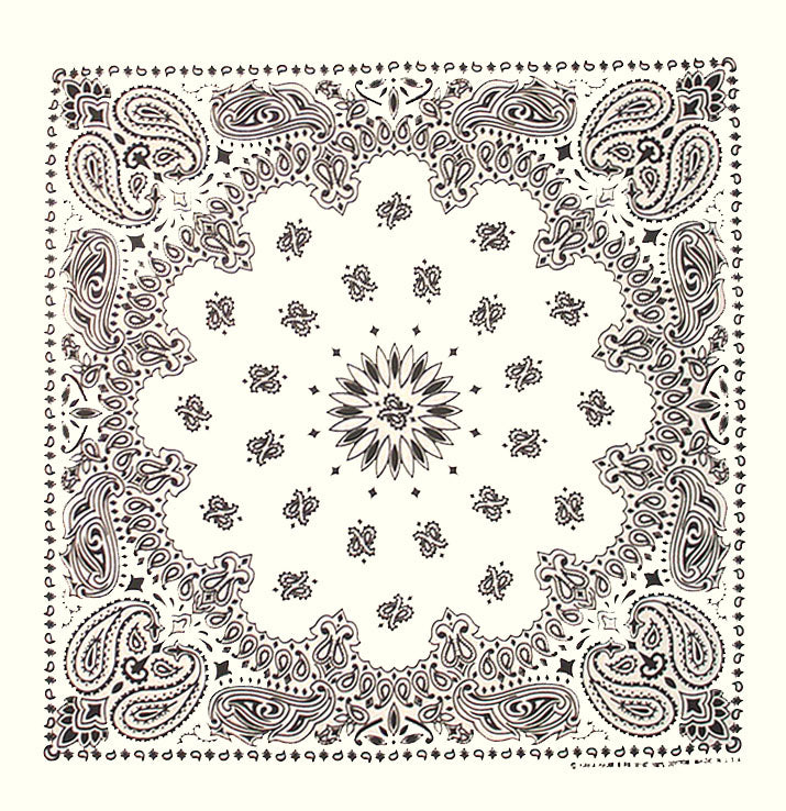 Stor Bandana Paisley Vit