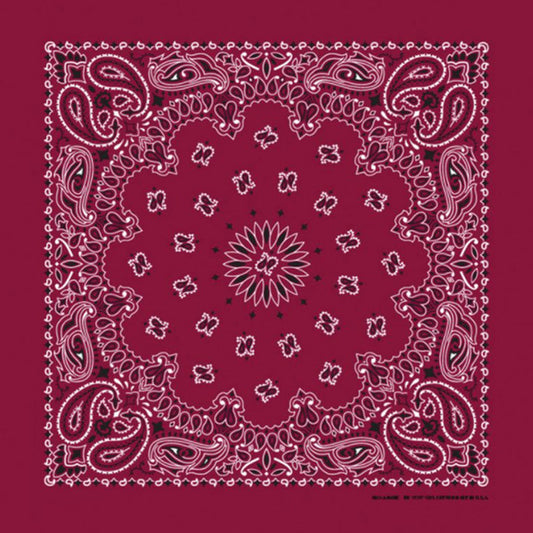 Bandana Paisley Vinröd