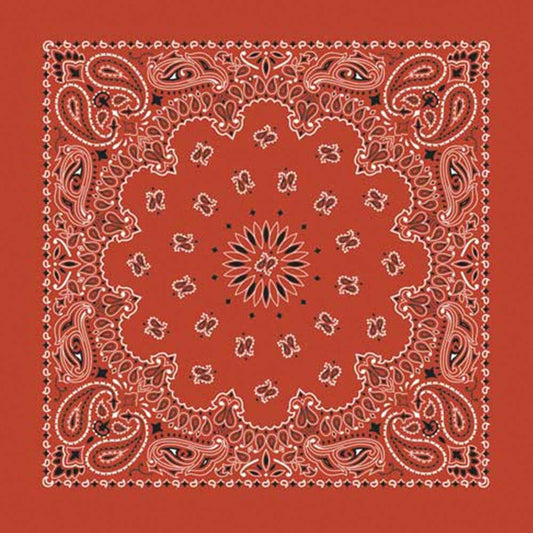 Bandana Paisley Terracotta