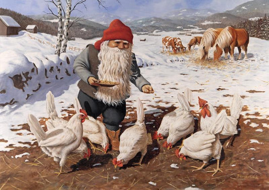 Julkort - Tomte matar höns