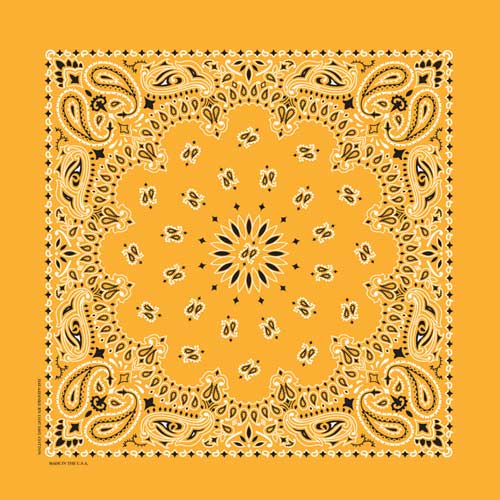 Bandana Paisley Gulockra