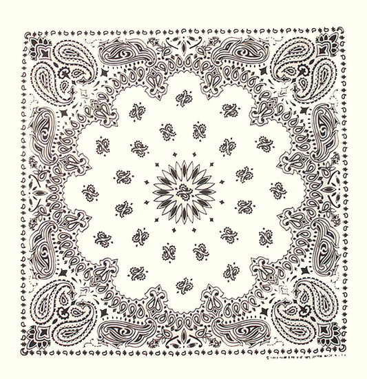 Bandana Paisley Vit